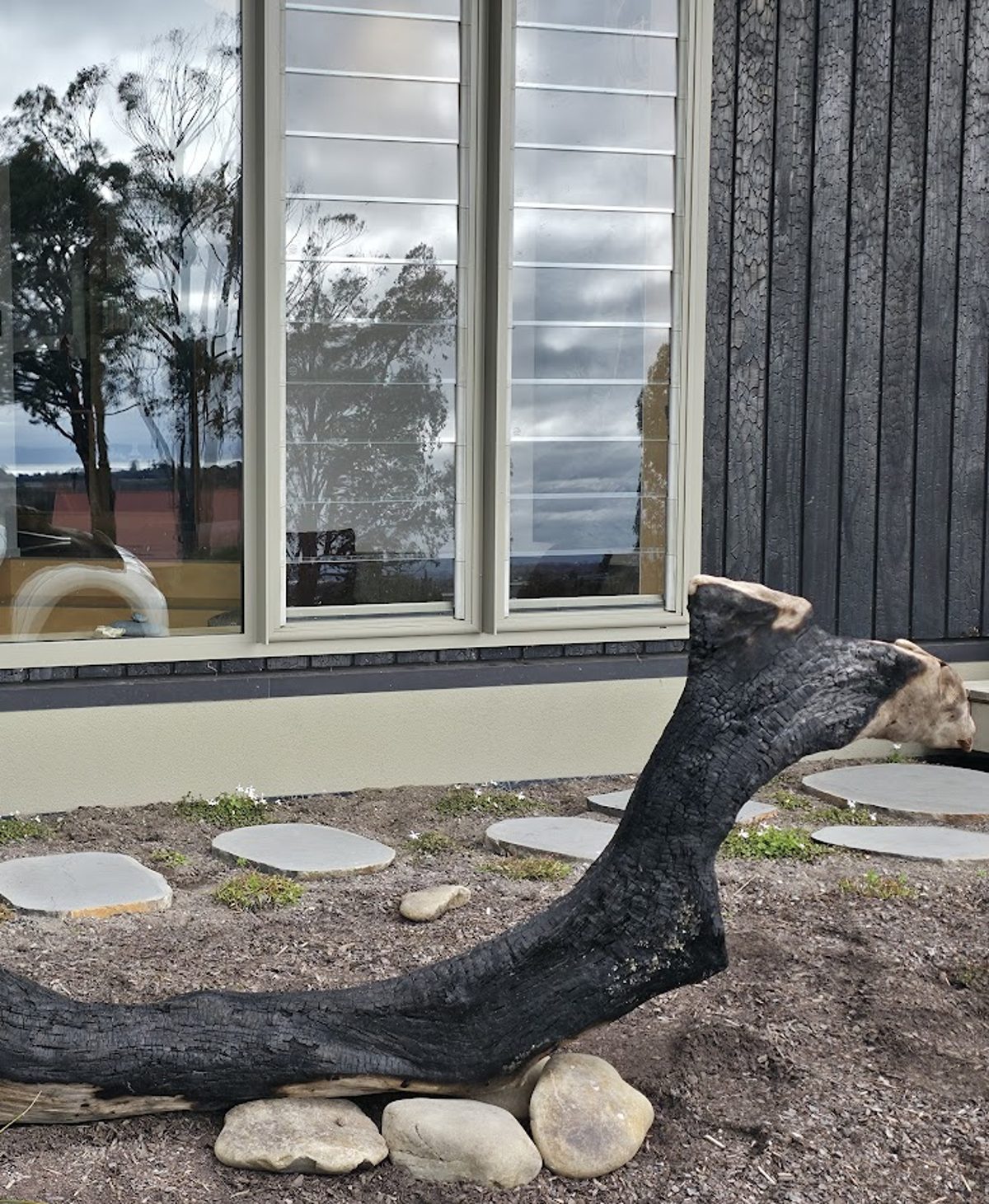Deep char on a single, deliberately chosen log specimen