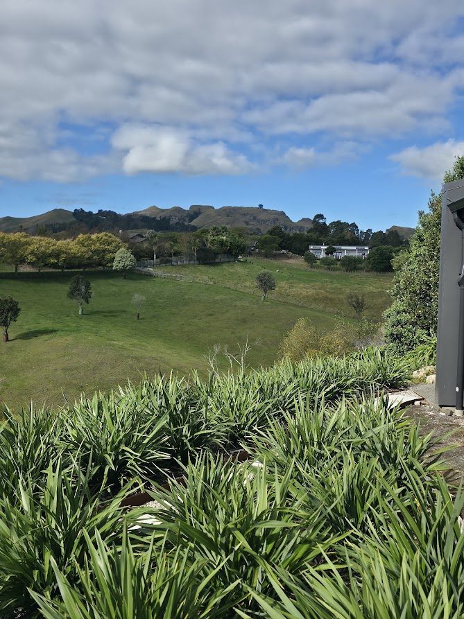 Havelock North hilltop garden by Tim Durrant Design