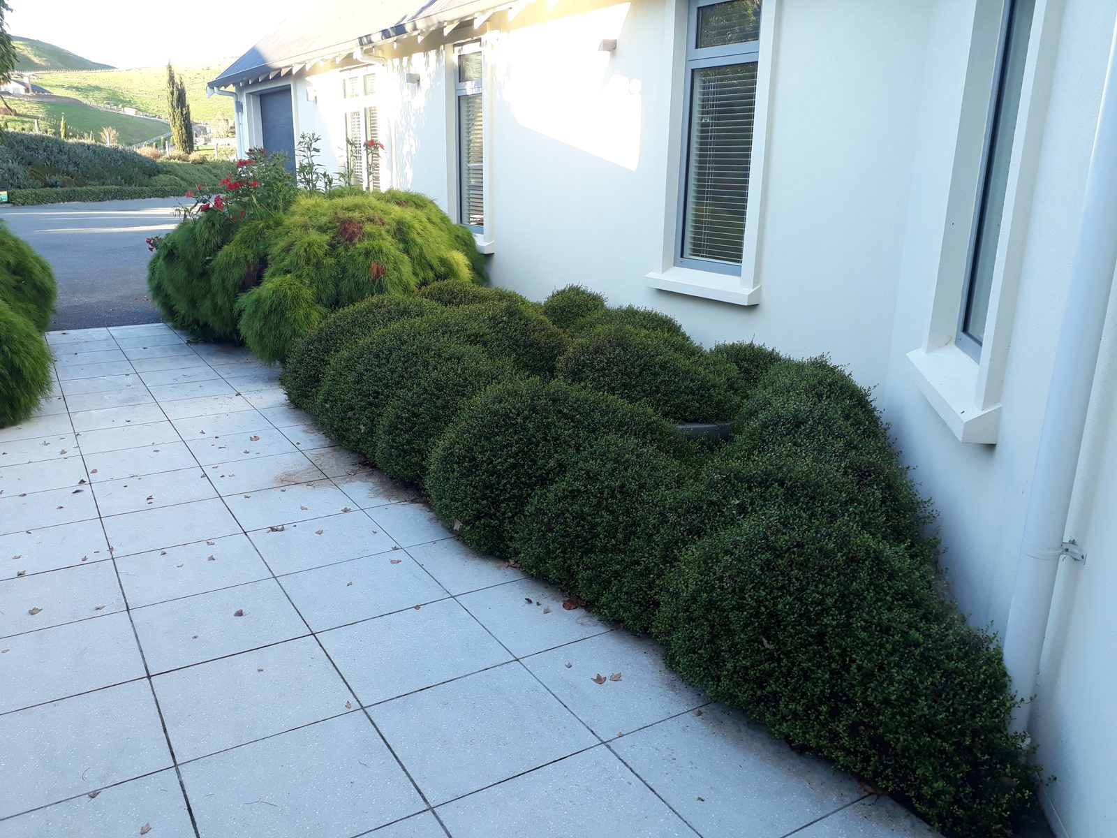 Aintree Road — Havelock North
