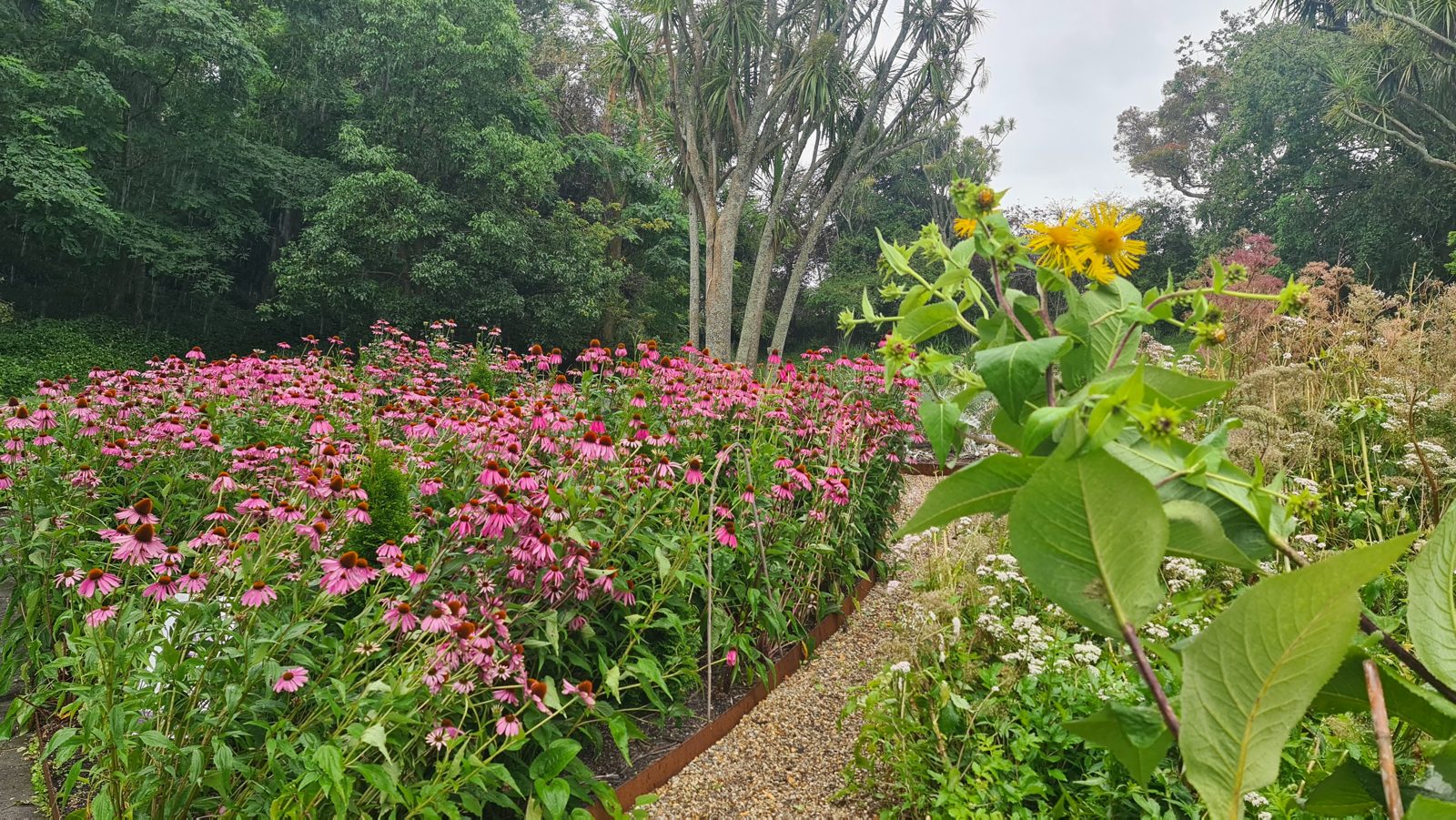 Weleda Garden — Te Mata, Havelock North