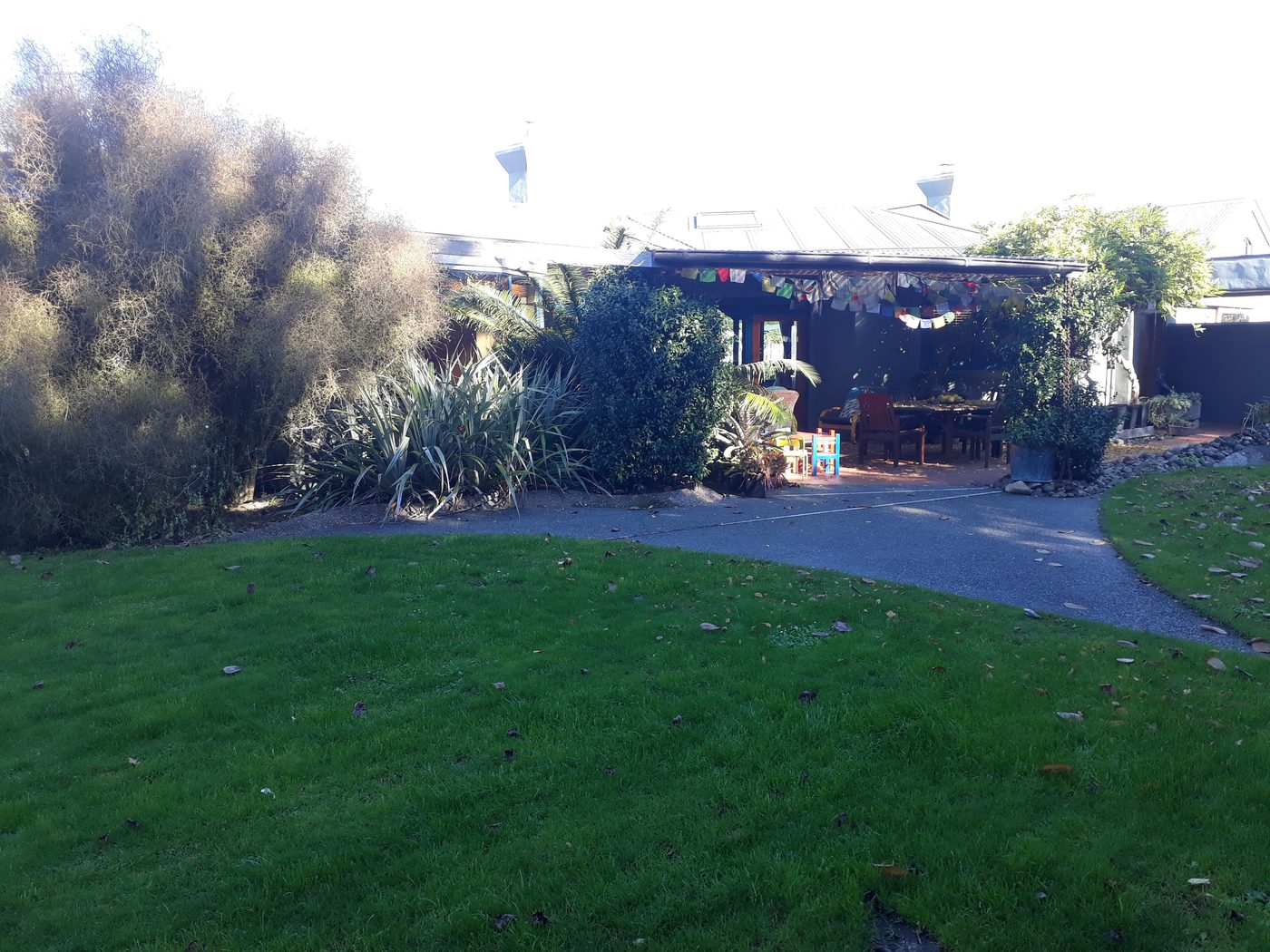 Napier contemporary estate garden by Tim Durrant Design