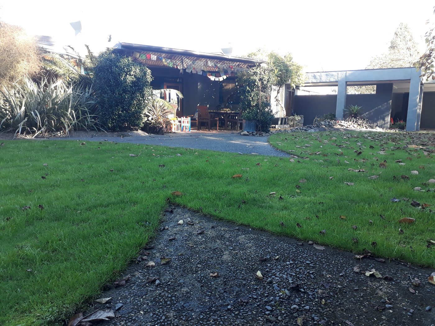 Napier contemporary estate garden by Tim Durrant Design