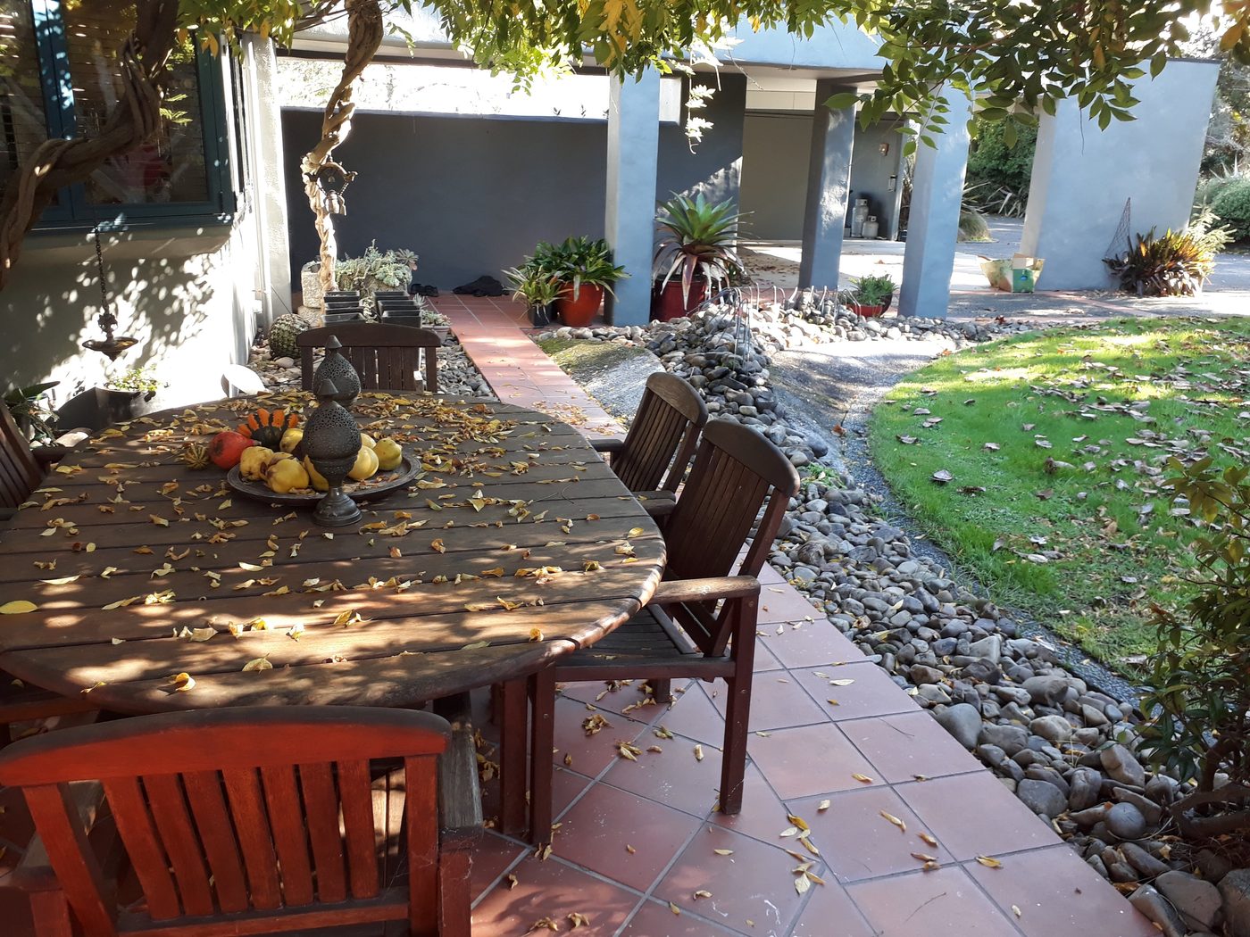Napier contemporary estate garden by Tim Durrant Design