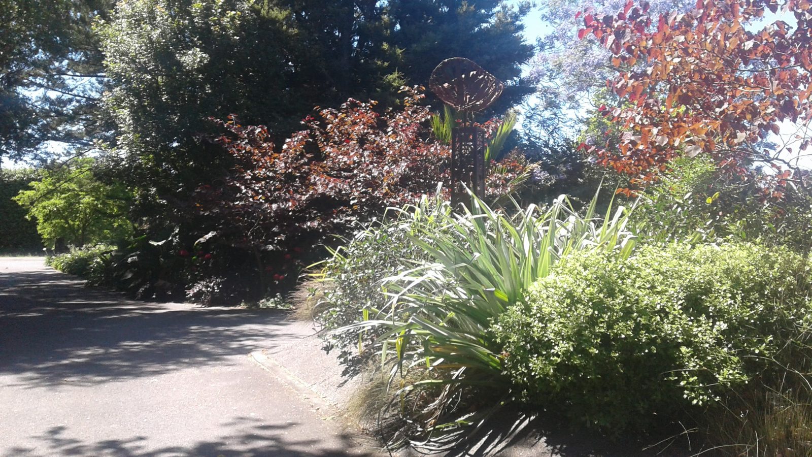Homestead Garden — Poraiti