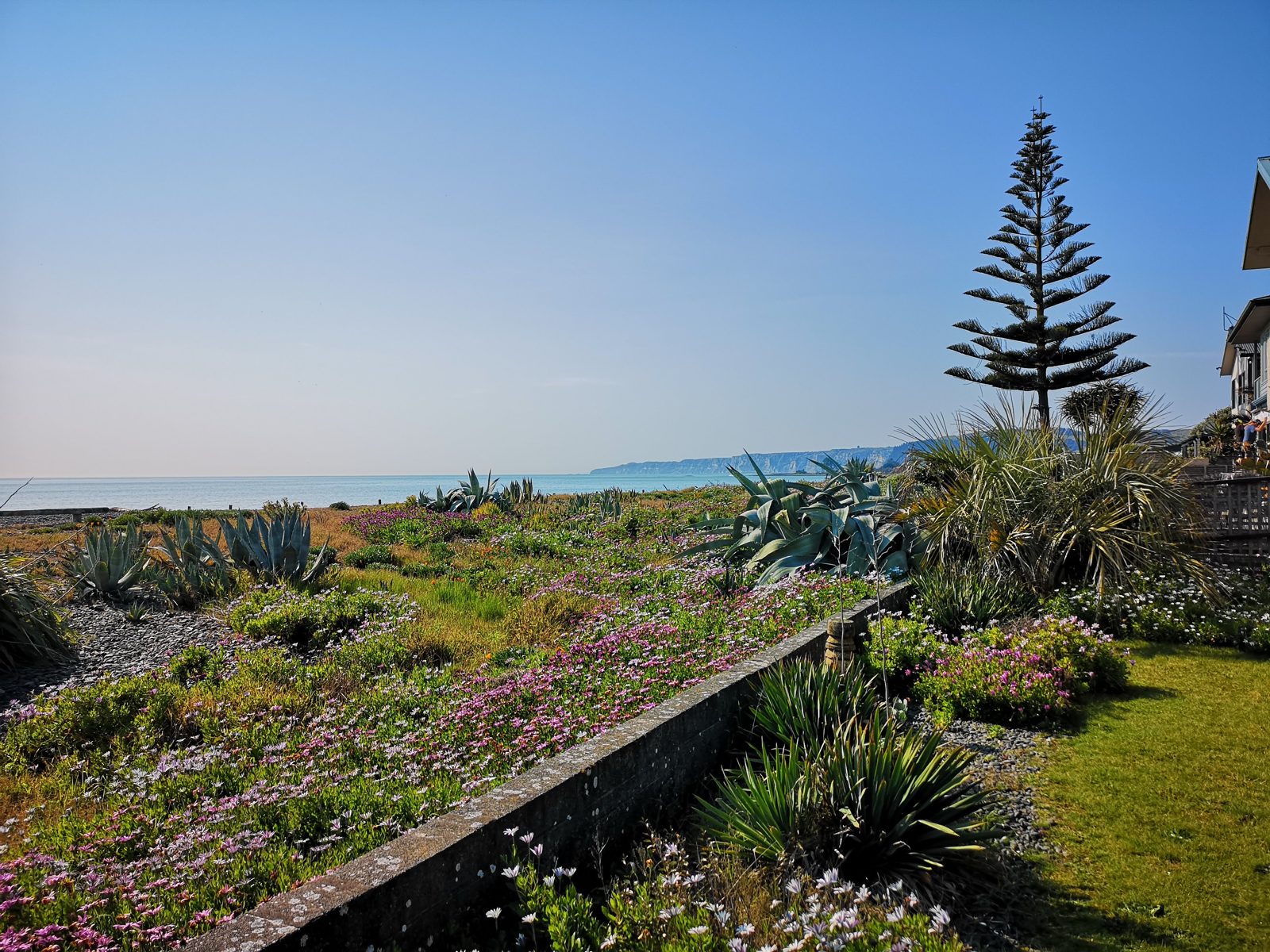 Wild coastal — Te Awanga