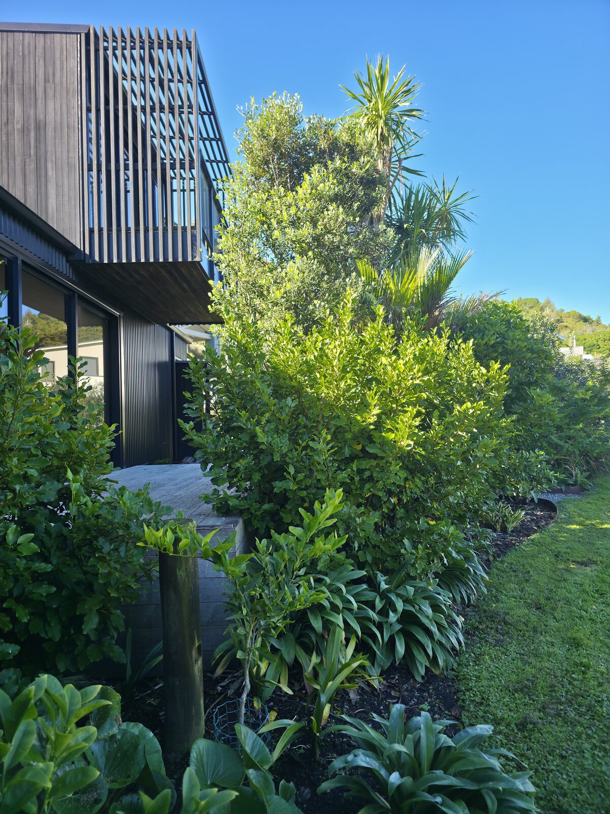Waipatiki Beach, Coastal New Build